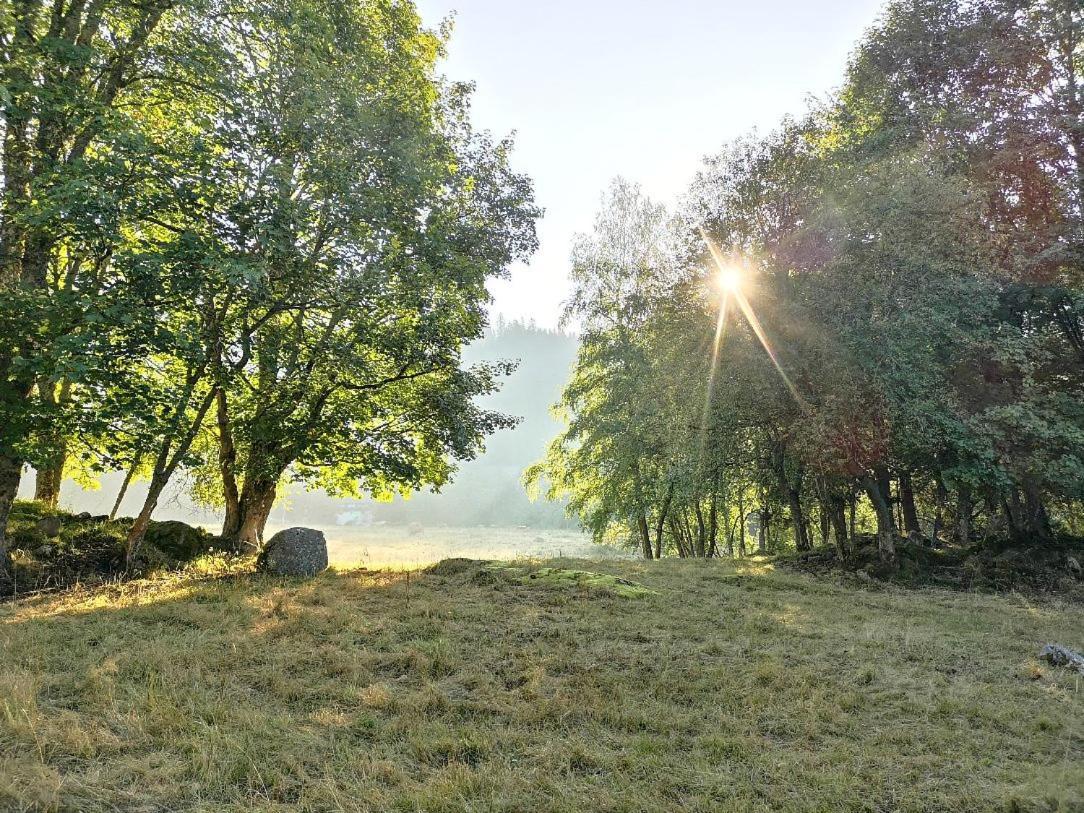 C2 Albmatte-Fewo , Hallenbad Aussenbecken Massagen Nebenan Санкт-Блазін Екстер'єр фото