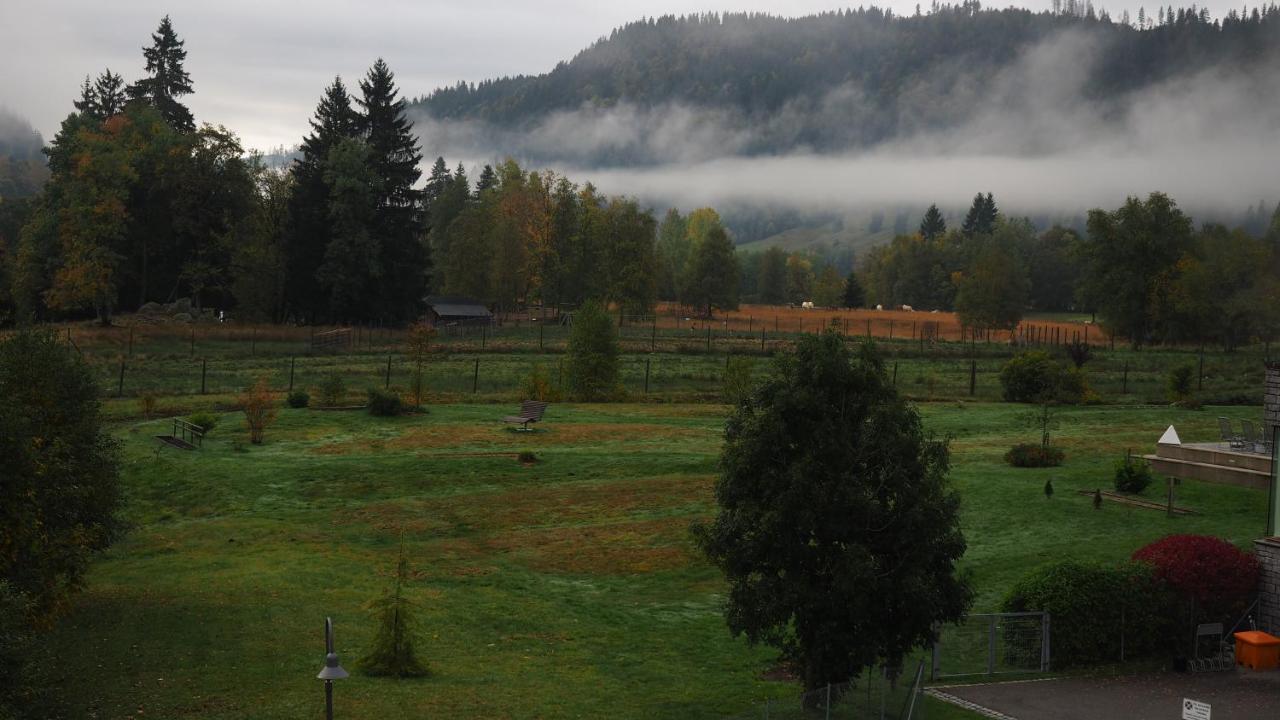 C2 Albmatte-Fewo , Hallenbad Aussenbecken Massagen Nebenan Санкт-Блазін Екстер'єр фото