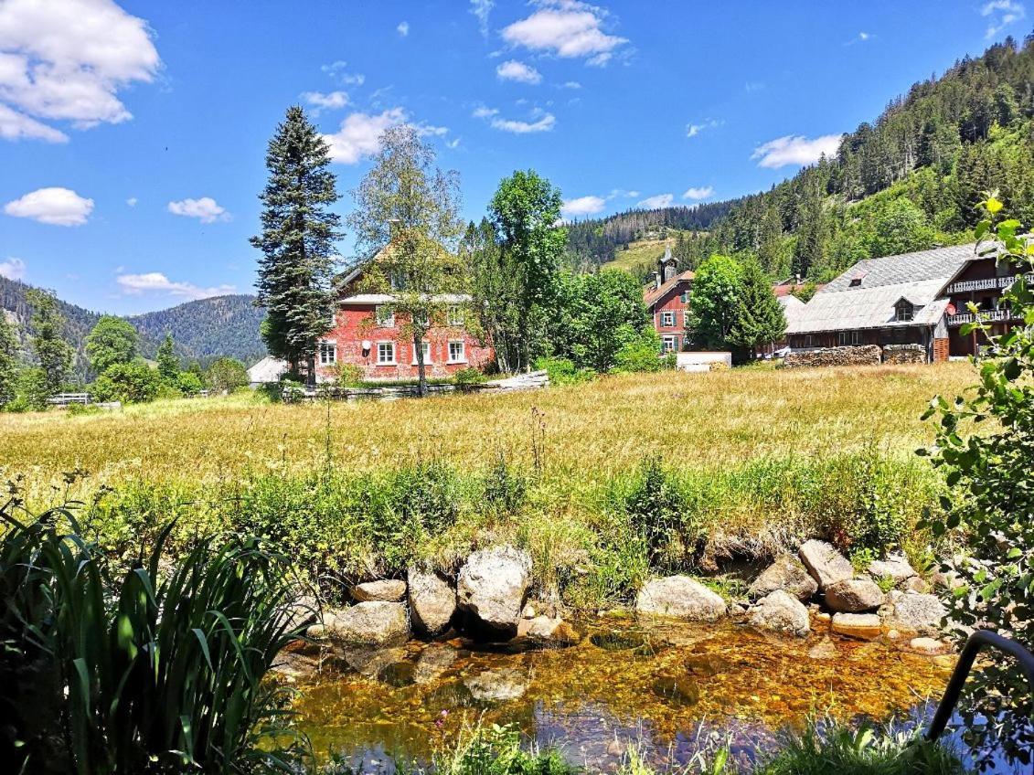C2 Albmatte-Fewo , Hallenbad Aussenbecken Massagen Nebenan Санкт-Блазін Екстер'єр фото