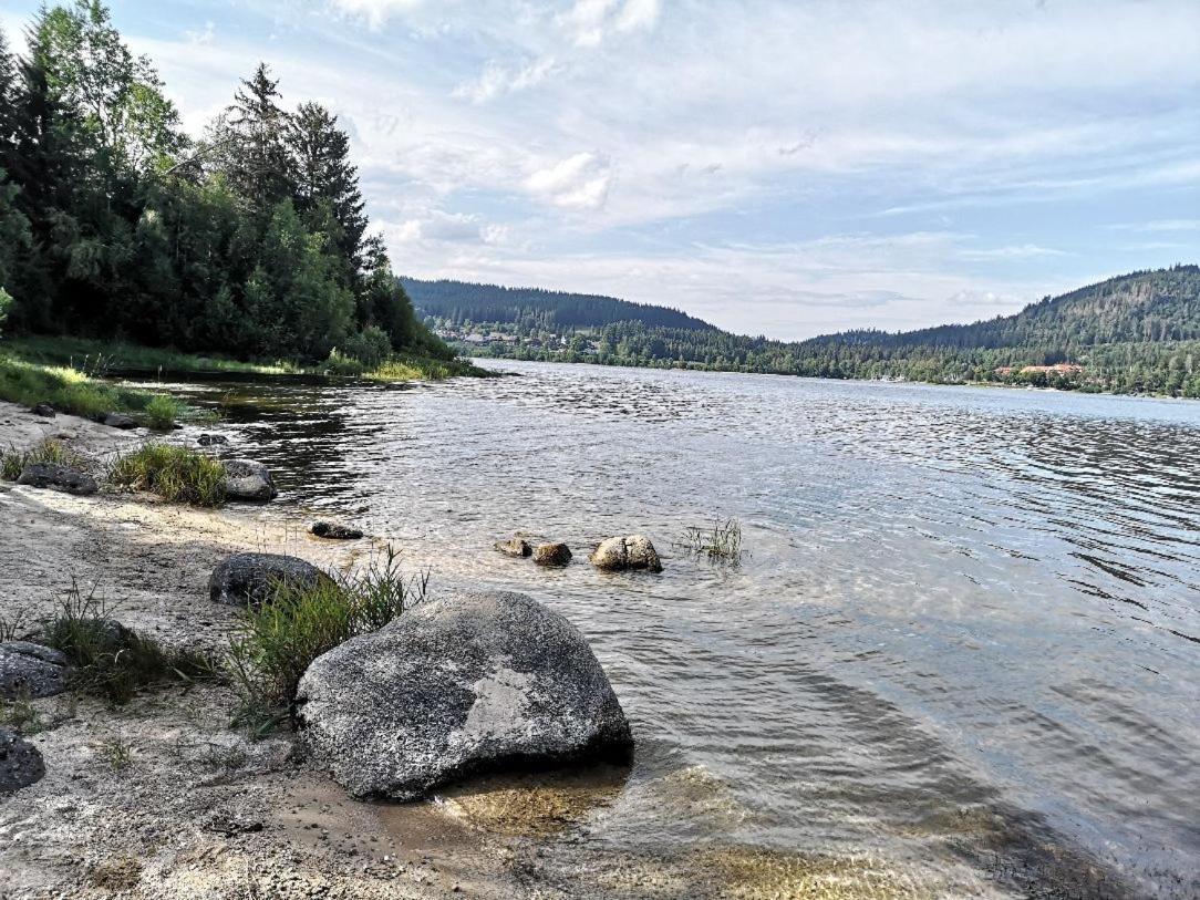 C2 Albmatte-Fewo , Hallenbad Aussenbecken Massagen Nebenan Санкт-Блазін Екстер'єр фото