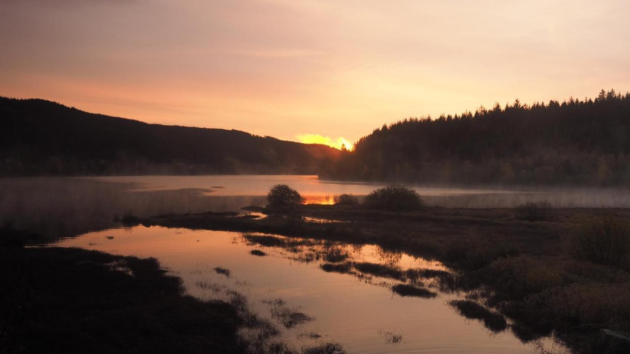 C2 Albmatte-Fewo , Hallenbad Aussenbecken Massagen Nebenan Санкт-Блазін Екстер'єр фото