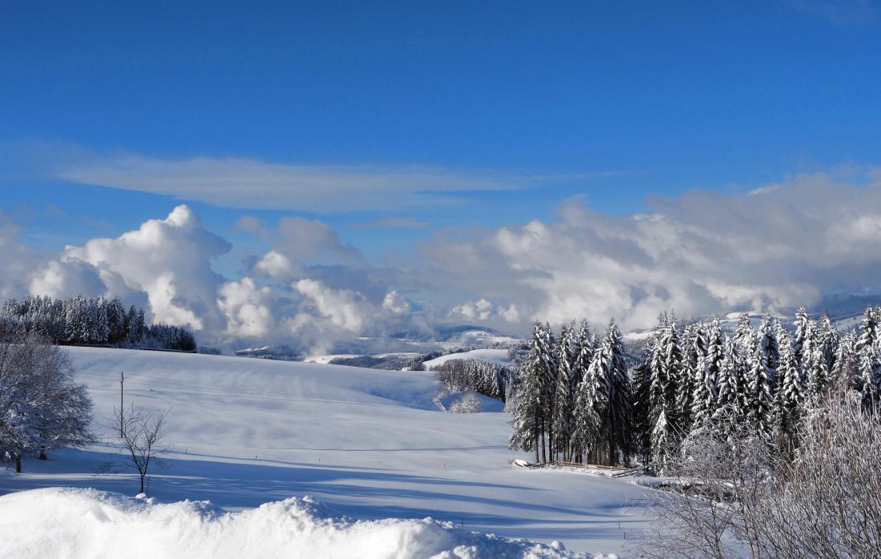 C2 Albmatte-Fewo , Hallenbad Aussenbecken Massagen Nebenan Санкт-Блазін Екстер'єр фото