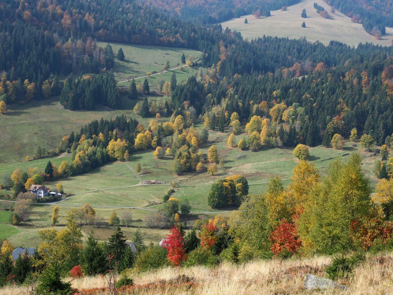 C2 Albmatte-Fewo , Hallenbad Aussenbecken Massagen Nebenan Санкт-Блазін Екстер'єр фото