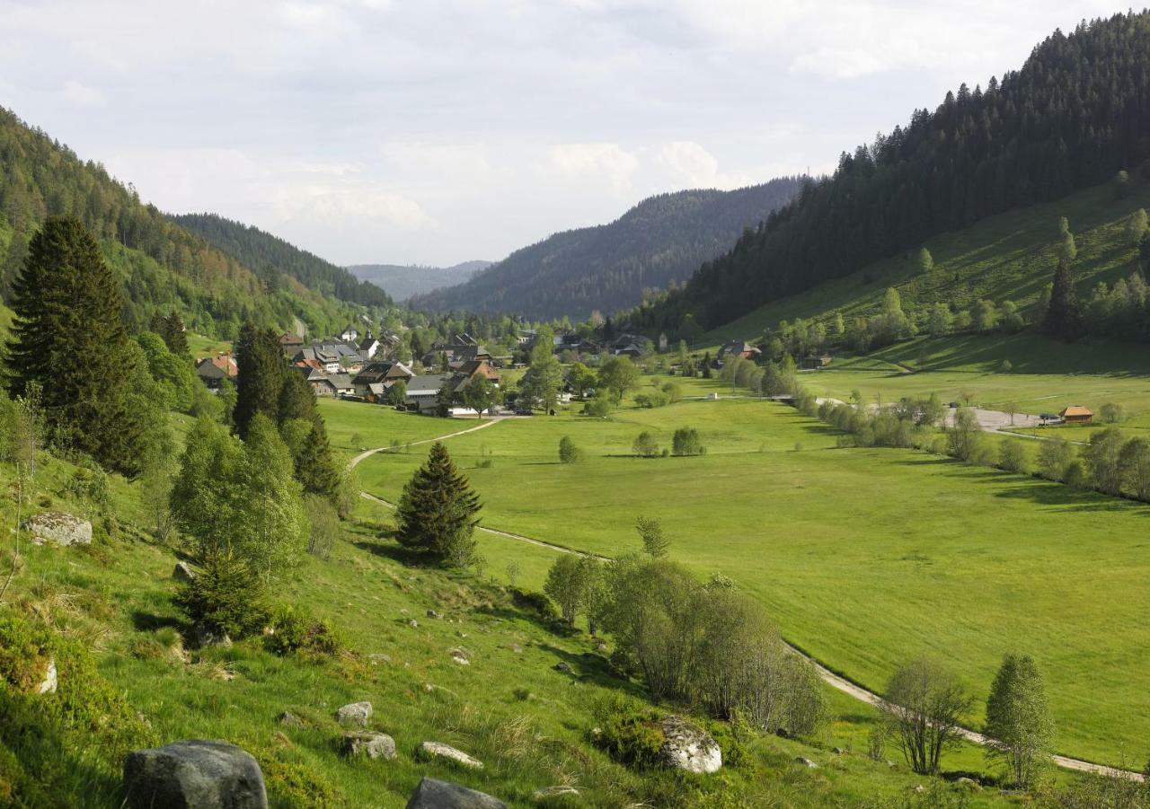 C2 Albmatte-Fewo , Hallenbad Aussenbecken Massagen Nebenan Санкт-Блазін Екстер'єр фото