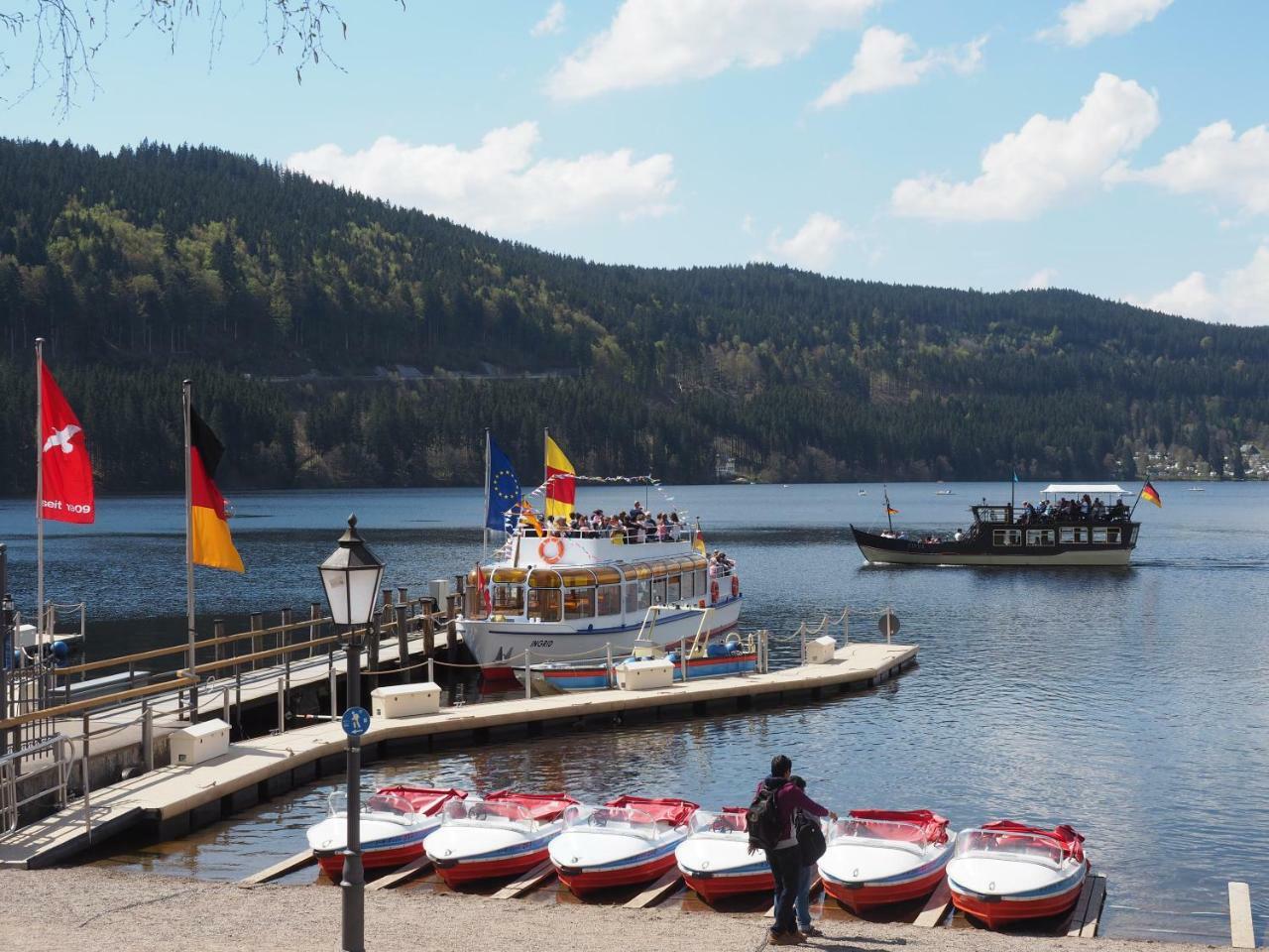 C2 Albmatte-Fewo , Hallenbad Aussenbecken Massagen Nebenan Санкт-Блазін Екстер'єр фото