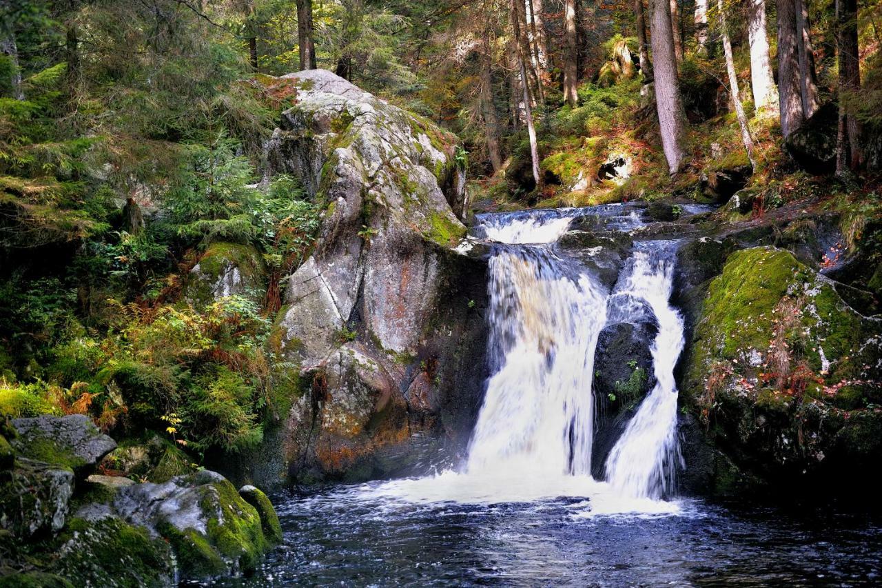 C2 Albmatte-Fewo , Hallenbad Aussenbecken Massagen Nebenan Санкт-Блазін Екстер'єр фото