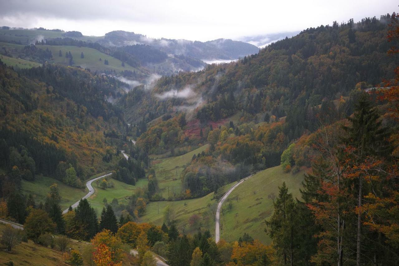 C2 Albmatte-Fewo , Hallenbad Aussenbecken Massagen Nebenan Санкт-Блазін Екстер'єр фото